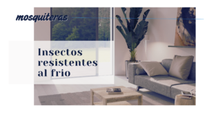 mosquiteras-para-invierno